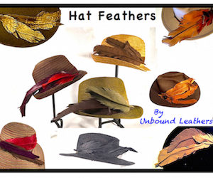 Hat Feathers