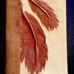Landscape Journal Covers - Image 10